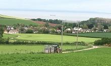 Grass and forage trends