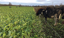 Preparing well to reseed