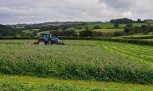 Producing more milk from forage